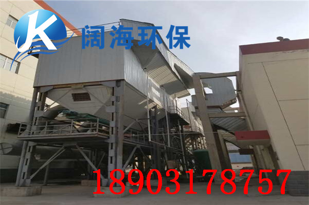 100T鍋爐除塵器 100T鍋爐除塵器