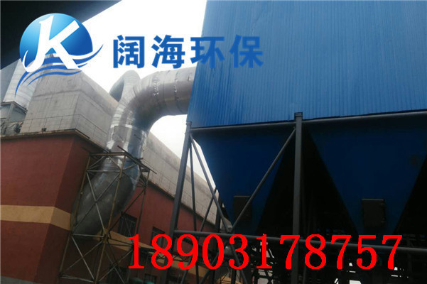 生物質鍋爐除塵器 生物質鍋爐除塵器